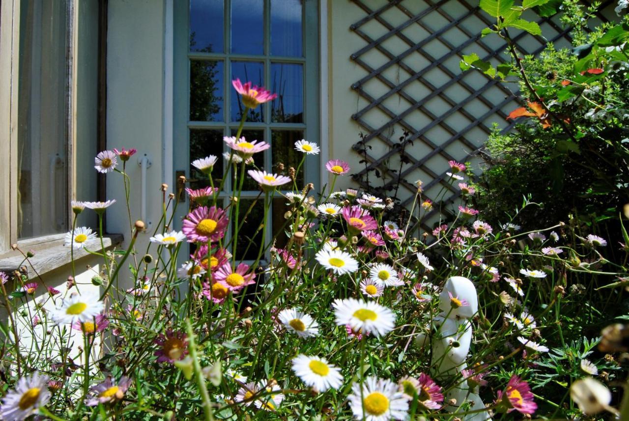 The Cottage Garden - A Herefordshire Retreat Ross-on-Wye Extérieur photo